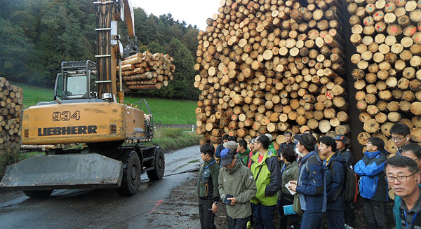 Wood from the Black Forest